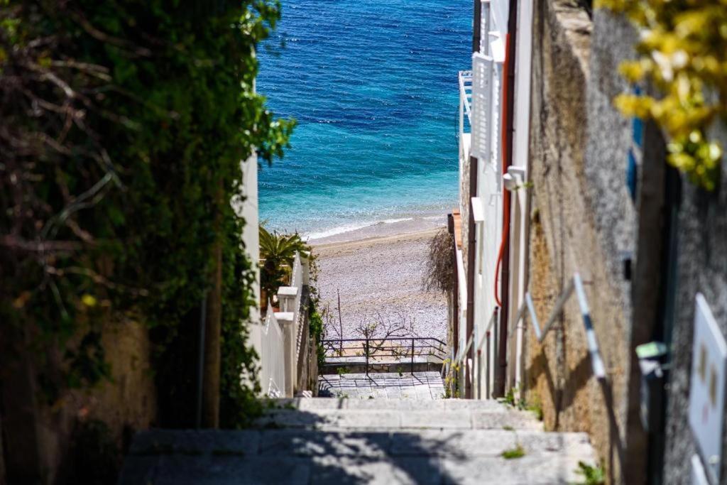 Leoni * Dubrovnik
